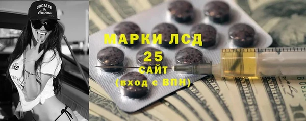 PSILOCYBIN Аркадак