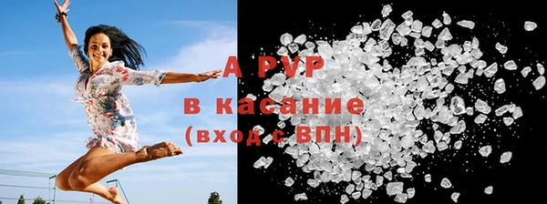 PSILOCYBIN Аркадак